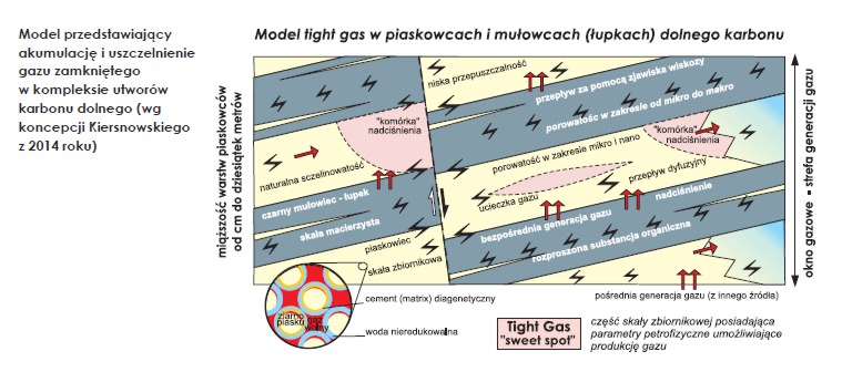 model przedstawiający akumulację i uszczelnienie gazu zamkniętego w kompleksie utworów karbonu dolnego (według koncepcji H. Kiernoswskiego, 2014 r.)