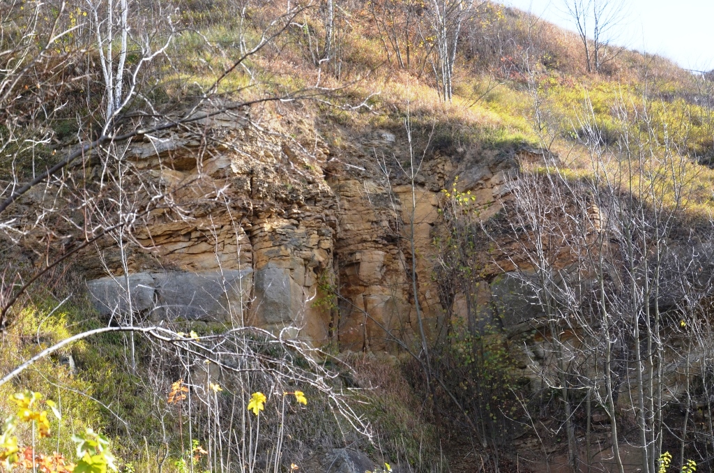 Kontakt gruboławicowych piaskowców retu ze skałami węglanowymi wapienia muszlowego w wyrobisku południowym kamieniołomu Witulin (fot. K. Bieńko) 