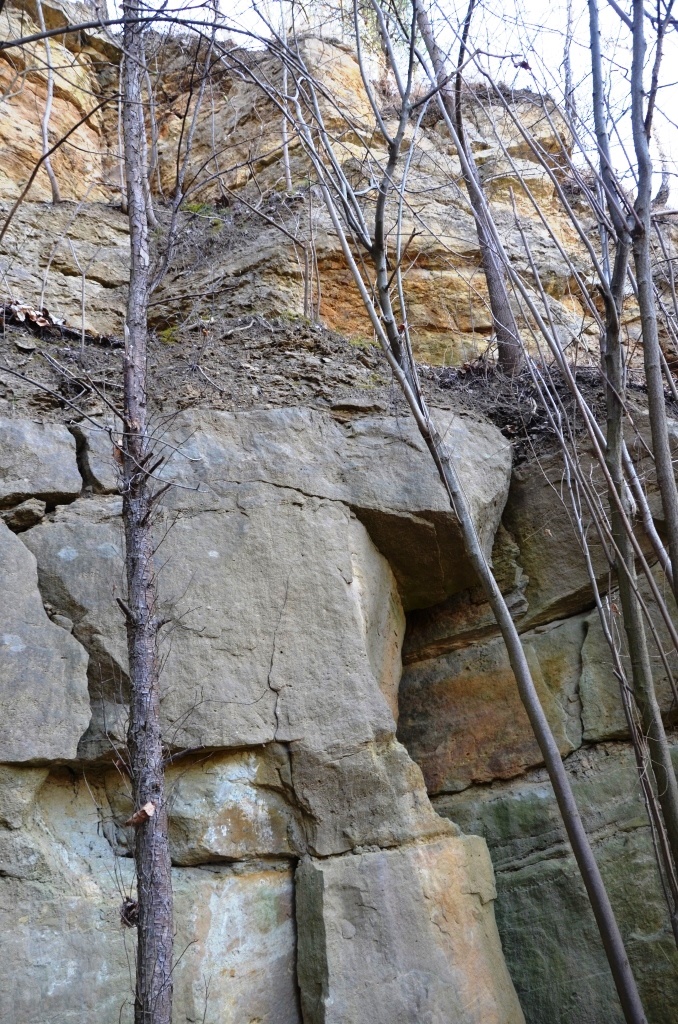 Gruboławicowe piaskowce retu i utwory węglanowe wapienia muszlowego w wyrobisku północnym kamieniołomu Witulin (fot. A. Fijałkowska-Mader)
