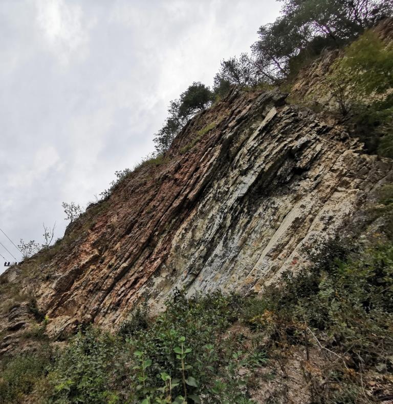 Profil Brodno. Granica formacji typu Ammonitico Rosso (fm. wapienia czorsztyńskiego, z lewej) I typu Maiolica (fm. wapienia pienińskiego, z prawej strony). Granica jura/kreda znajduje się ok 1 m stratygraficznie powyżej granicy formacji (warstwy są obalone), w obrębie magnetozony M19n