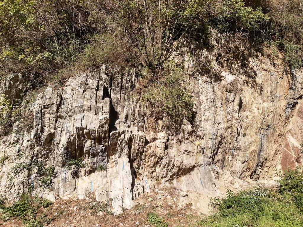 Fragment profile Torre de Busi. Pionowo stojące ławice wapieni formacji Rosso ad Aptici (odpowiednik Ammonitico Rosso), górny tyton, spąg poziomu kalpionellidowego Crassicollaria, magnetozona M20n