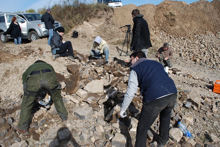 Poszukiwania skamieniałości w 2013 roku