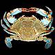 Decapod Crustaceans