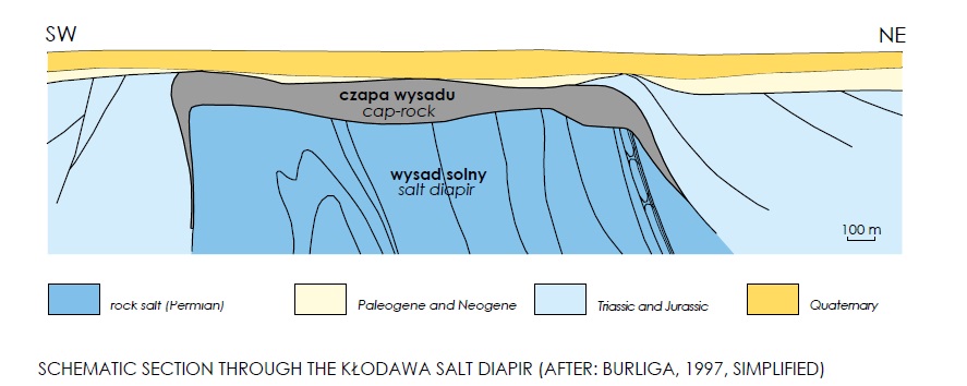 przekroj wysad solny