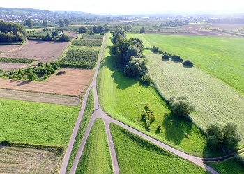 grafika poglądowa, zajawka artykułu