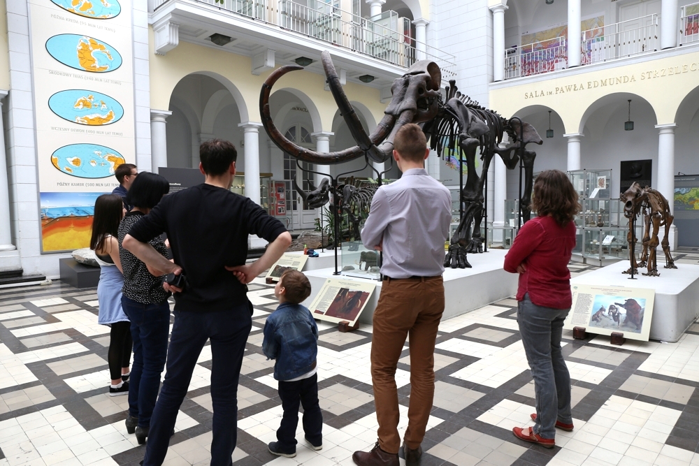 Dzień Wolnej Sztuki w Muzeum Geologicznym