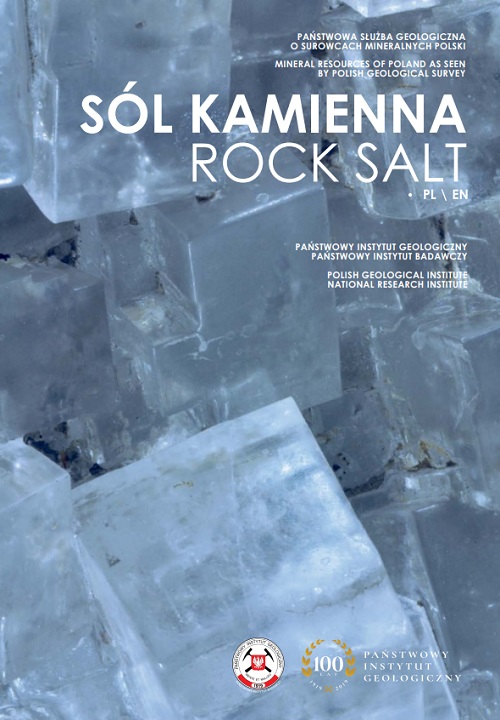 okladka sol kamienna