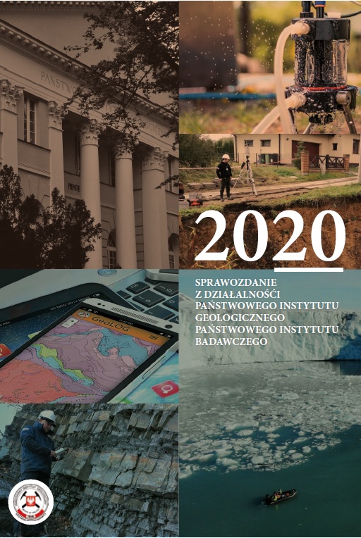 okladka sprawozdanie 2020
