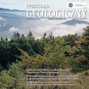 grafika poglądowa, zajawka artykułu