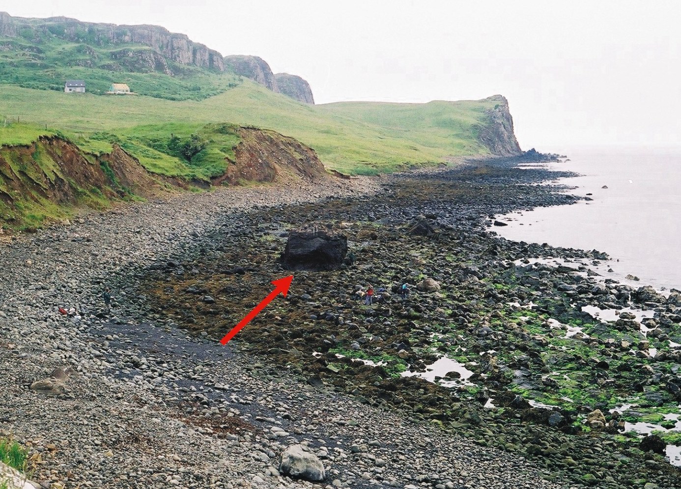 Strefa międzypływowa z wychodniami skał oksfordu i kimerydu (jura górna) w profilu Flodigarry na wyspie Skye w Szkocji