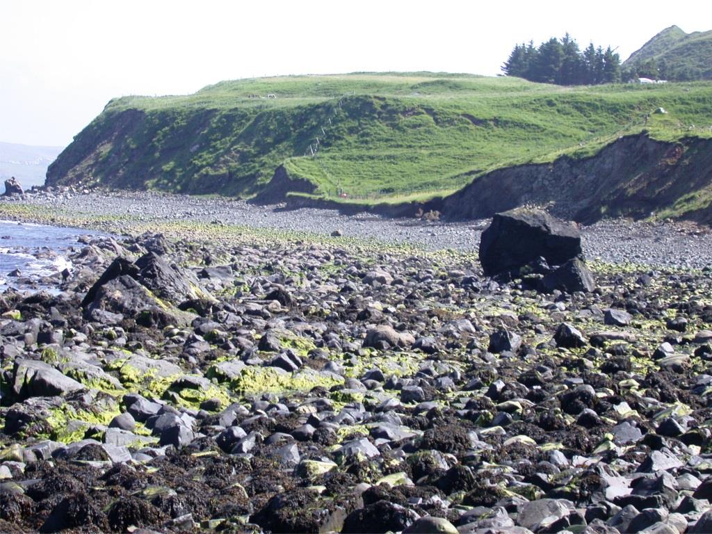 Strefa międzypływowa z wychodniami skał oksfordu i kimerydu (jura górna) w profilu Flodigarry na wyspie Skye w Szkocji (strzałką oznaczono miejsce granicy oksfordu i kiemrydu) (autor obu zdjęć: A. Wierzbowski)