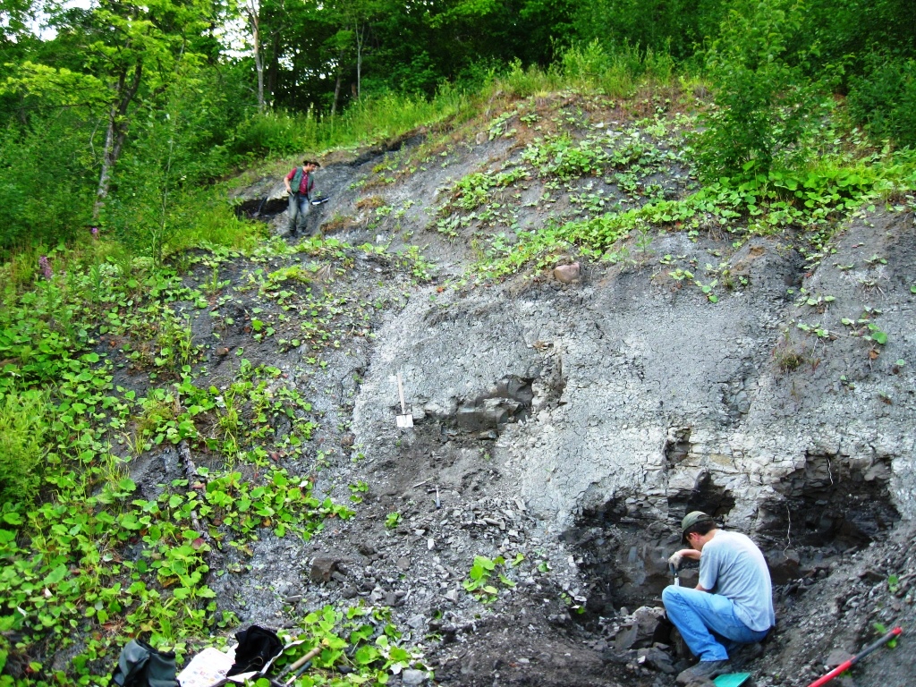 Prace terenowe w pomocniczym profil pogranicza oksfordu i kimerydu z  północnej Rosji koło wioski Mikhalenino w pobliżu miasta Makar’ev (obwód kostromski). (autor S. Malenkina)