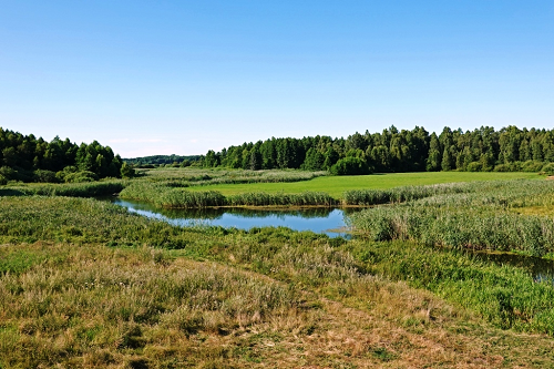 rzeka biebrza