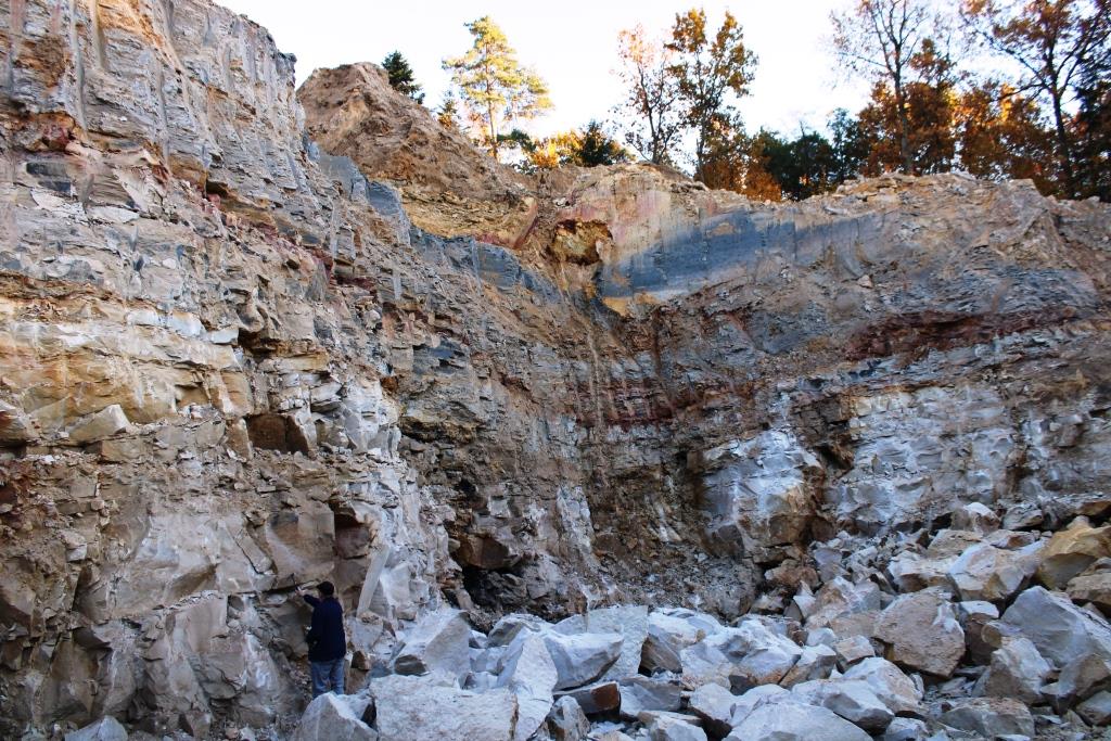 Ściana wyrobiska kopalni w Borkowicach. Warstwa z tropami dinozaurów występuje w spągu wyrobiska