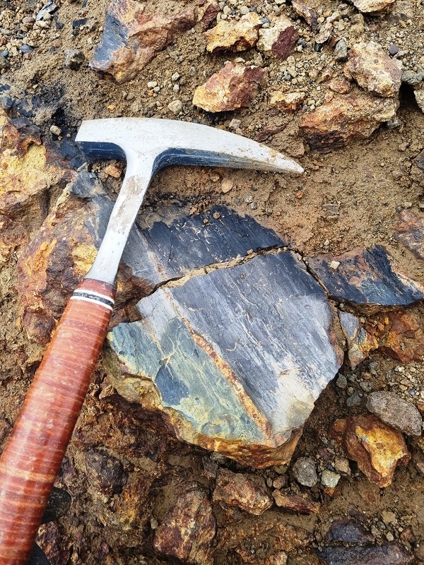 Fragment skamieniałego drewna (Dolina Skamieniałego Lasu)