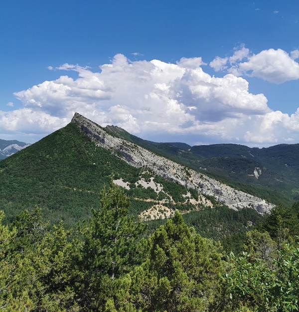 Tak są widoczne struktury geologiczne basenu wokontyjskiego - zawieszona synklina Saoû. Fot. Damian Lodowski.