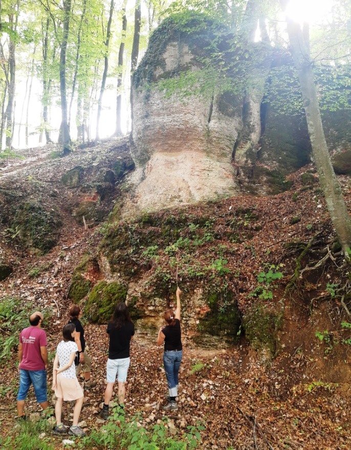 Wycieczka terenowa The Jurassic-Cretaceous transition in the Western Carpathians (Jacek Grabowski) 