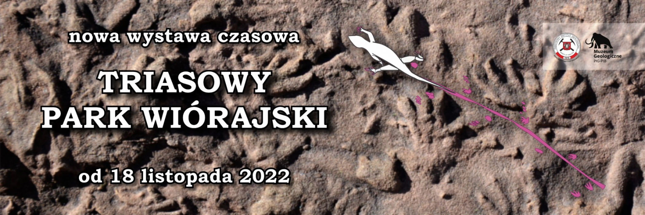 baner wystawa czasowa Triasowy Park Wiórajski