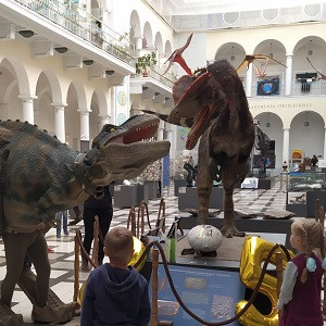 2 dinozaury w muzeum