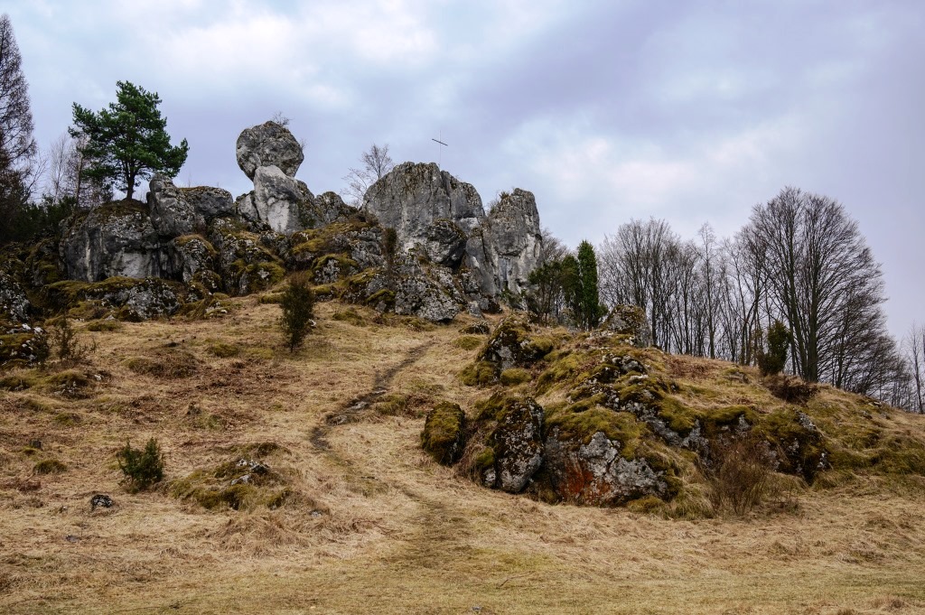 skalki wapienne konski leb