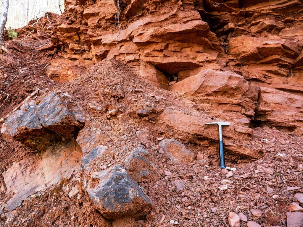 Granica między dolomitami środkowego dewonu oraz piaskowcami, mułowcami i iłowcami dolnego triasu (fot. P. Derkowski)