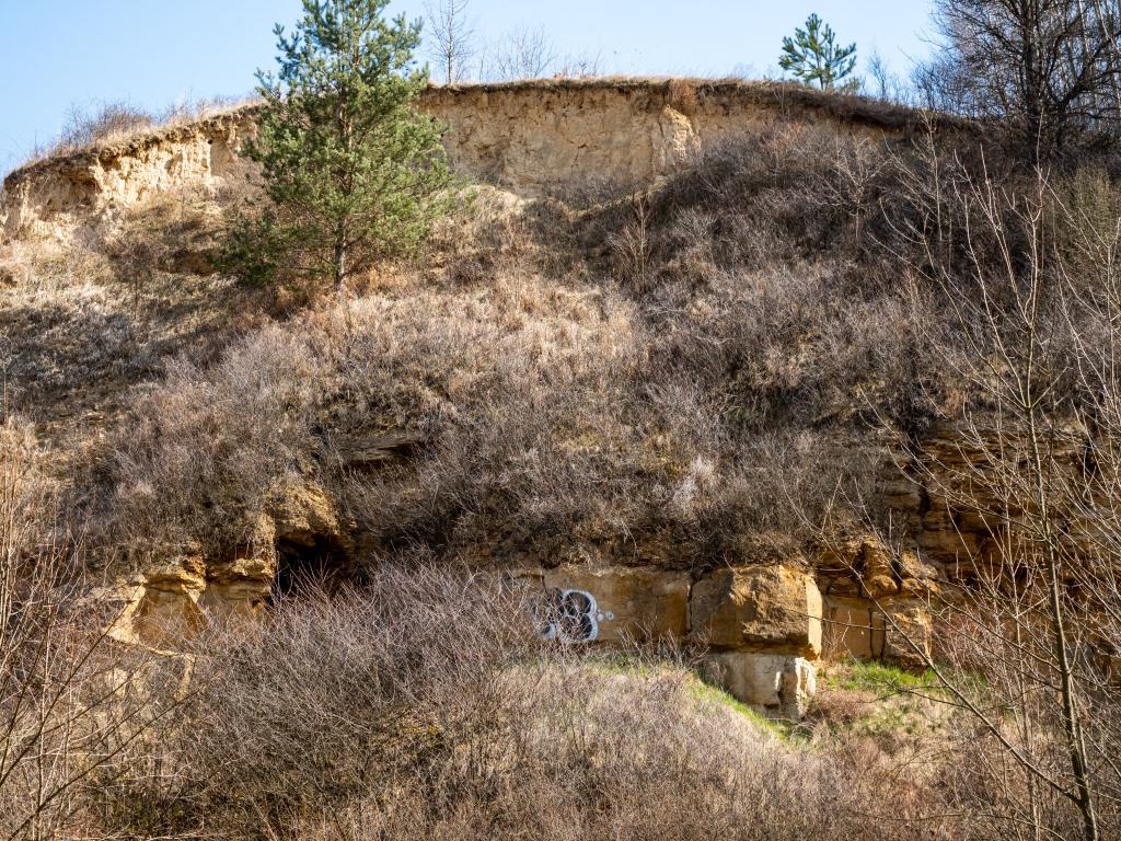 Odsłonięcie piaskowców retu i węglanów wapienia muszlowego w kamieniołomie Doły Biskupie (fot. P. Derkowski) 