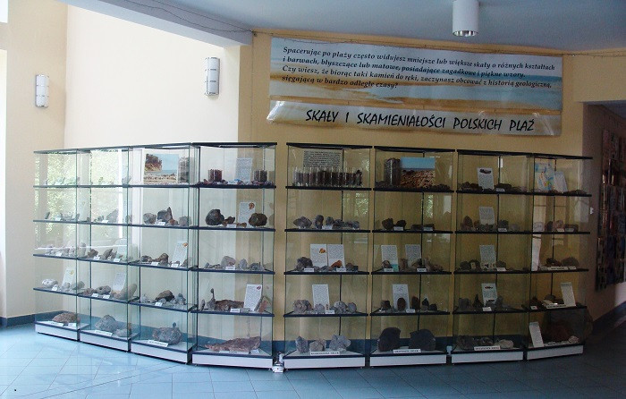 13 wystawa skay i skamieniaoci polskich pla w oddziale geologii morza pig pib