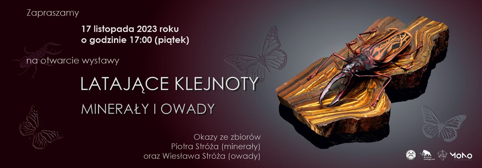 latajace klejnoty baner