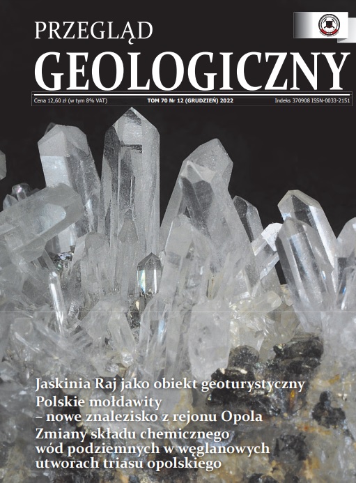 okladka przeglad geologiczny 12.2022