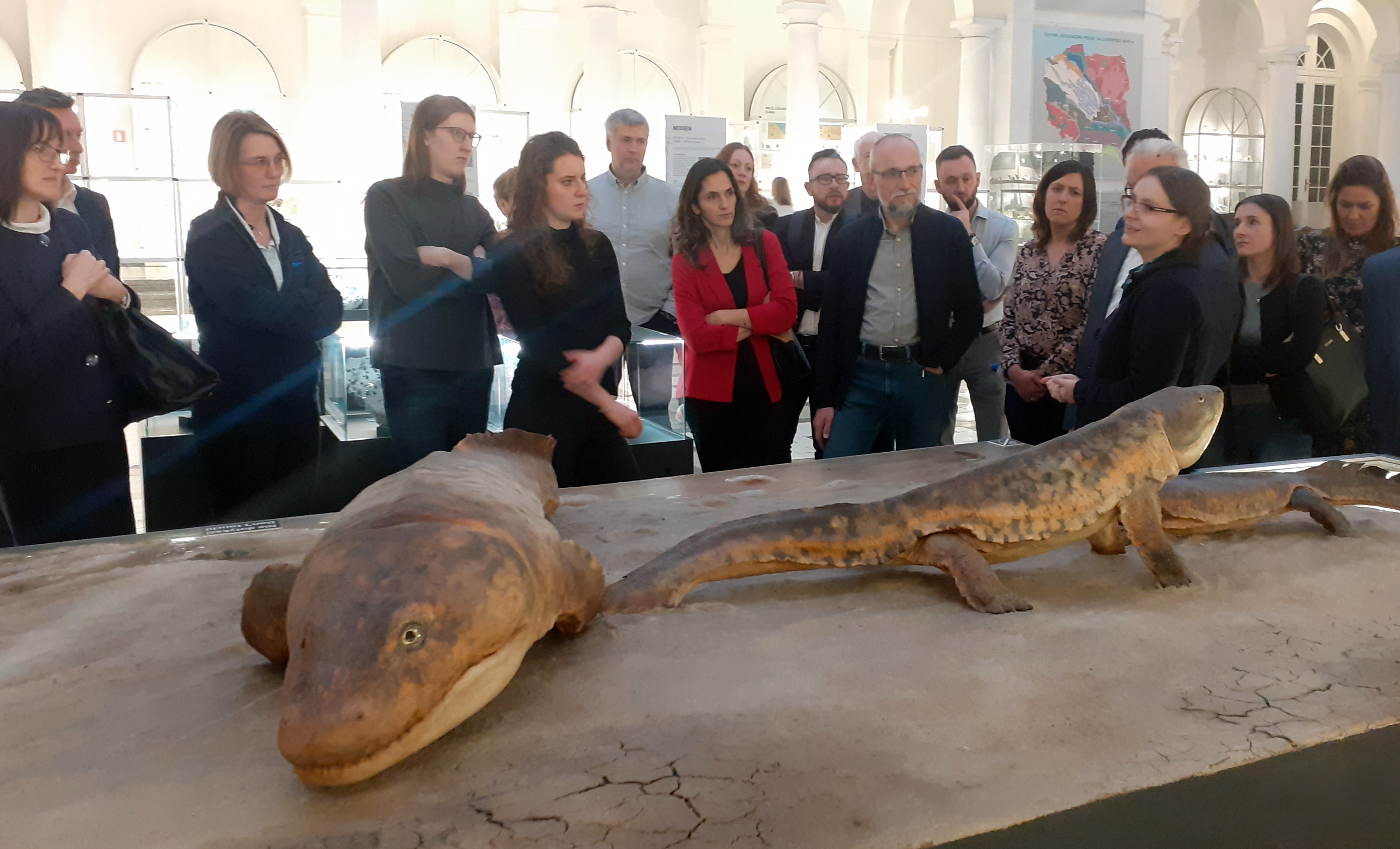 Zwiedzanie Muzeum Geologicznego PIG-PIB