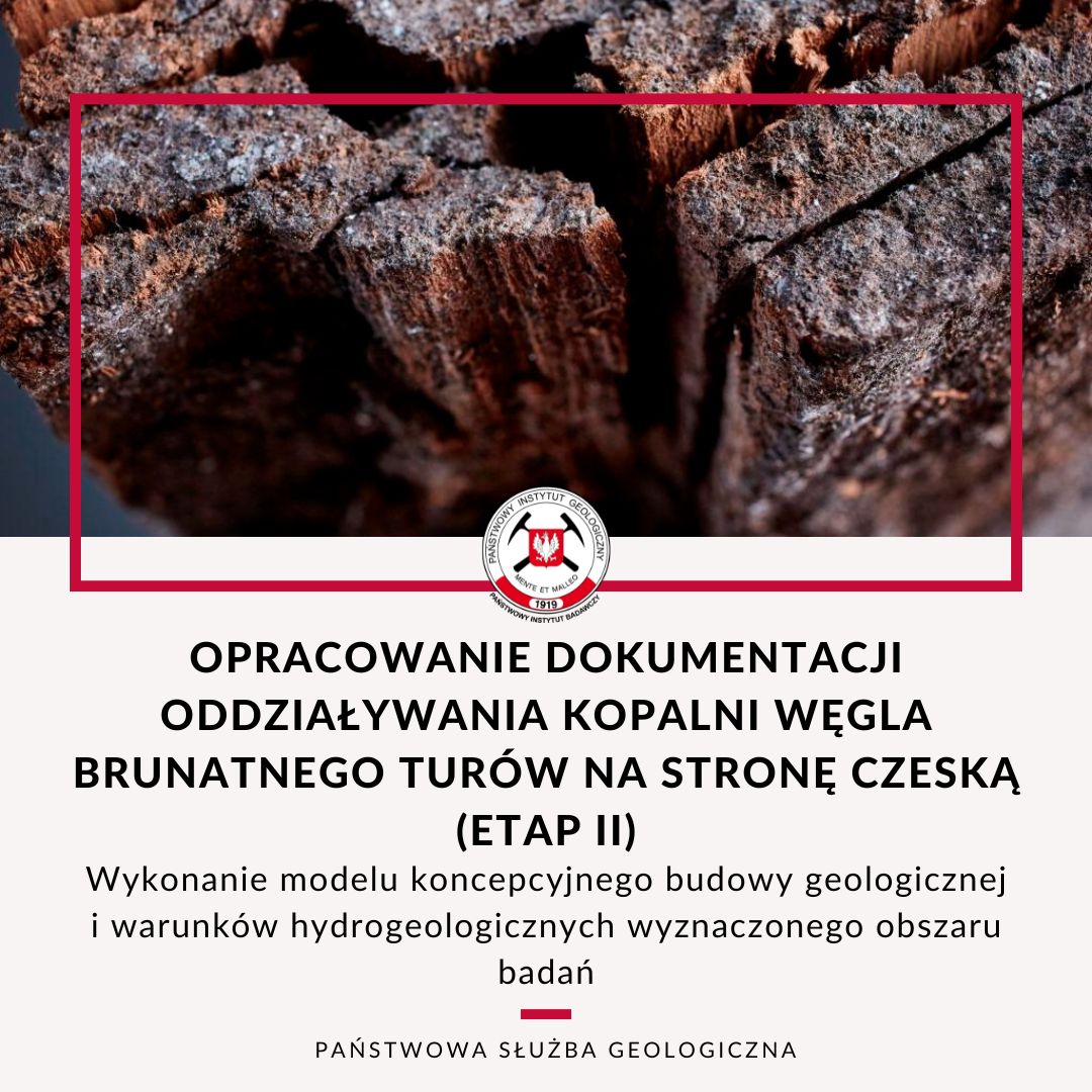 grafika ilustracyjna