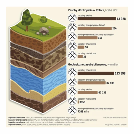 infografika surowce