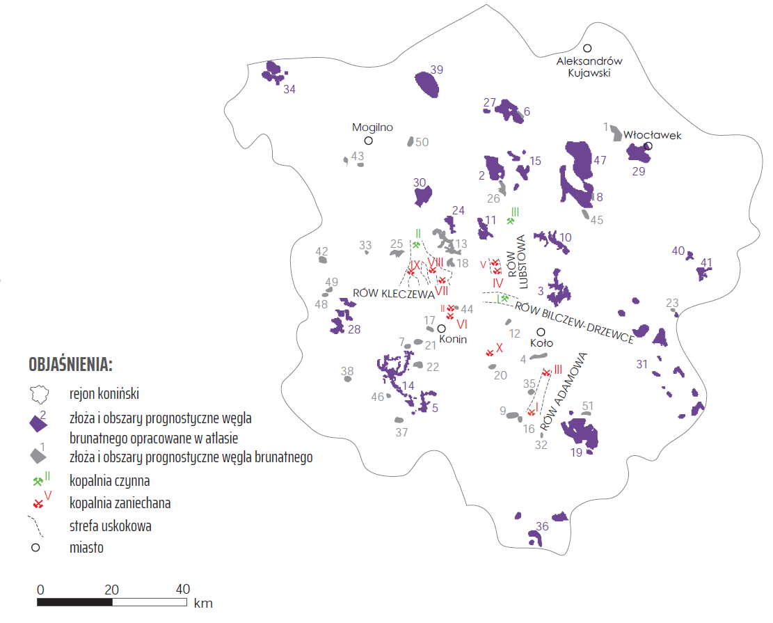 Złoża i obszary prognostyczne węgla brunatnego w rejonie konińskim (źródło: opracowanie własne)