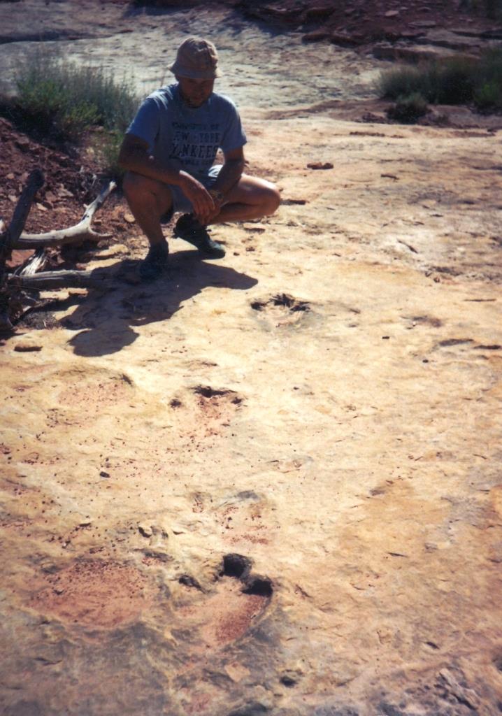 Gerard Gierliński wiosną1992 na stanowisku Entrada koło Moab (Utah, USA) będącym wówczas największą odkrytą powierzchnią ze śladami dinozaurów, obejmującą 38 km2. Fot. A. Bocianowska