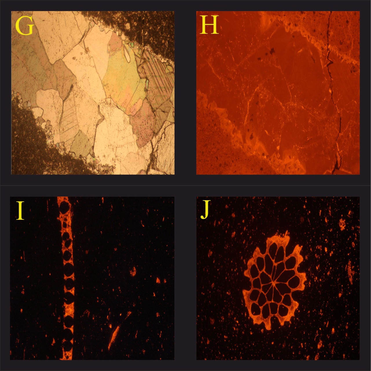 Wypełnienie żyły minerałami węglanowymi, światło białe przechodzące. H - Wypełnienie żyły minerałami węglanowymi, światło wzbudzone CCL, widoczna ciemniejsza barwa środkowej części żyły oraz wyraźnie jaśniejsza barwa na jej zewnętrznych krawędziach. I – Skamieniałość w wzbudzonym świetle CCL. J – Doskonale widoczna budowa skamieniałości wraz z delikatnym rozjaśnieniem barwy CCL na jej krawędziach. 