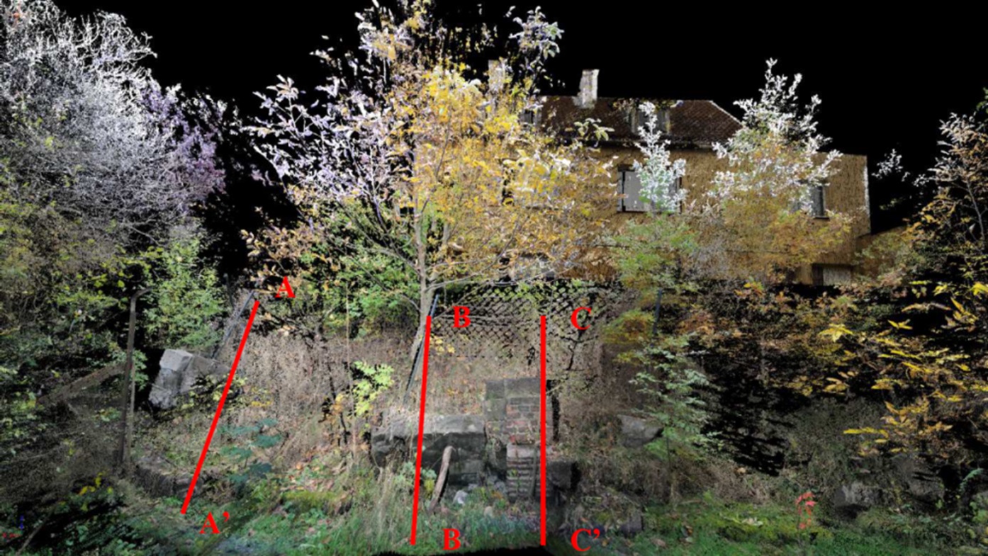 Chmura punktów w kolorach naturalnych, obrazująca rejon muru podlegającego degradacji w sąsiedztwie górnej skarpy osuwiska nr 28154, poniżej budynku mieszkalnego, lokalizacje profili poprzecznych zaznaczono kolorem czerwonym