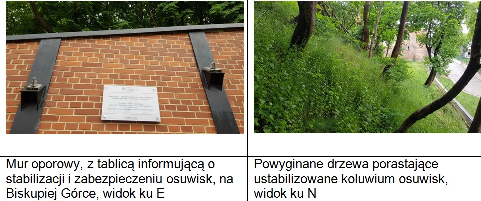 Fig. 9. Zabezpieczone osuwisko nr 28156 na Biskupiej Górce w Gdańsku