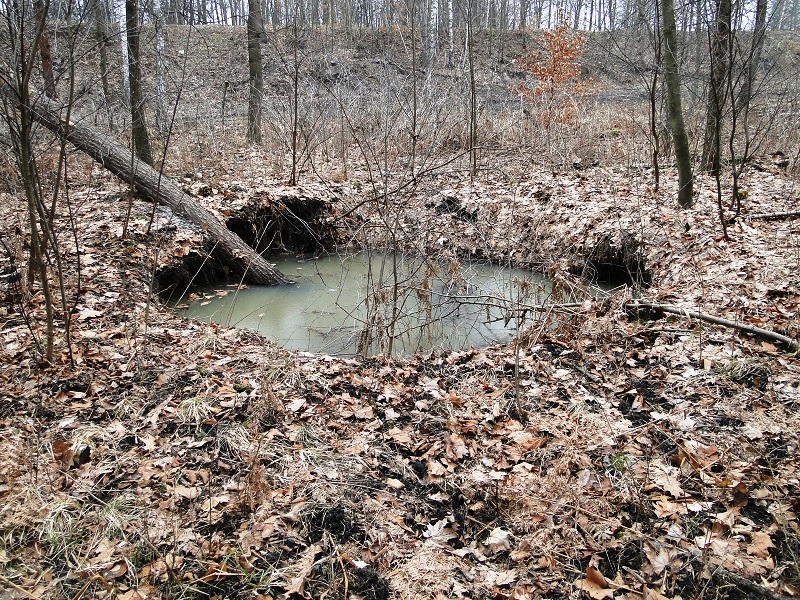 Zapadlisko w rejonie osiedla Trentowiec w Trzebini (fot. M. Wódka, 13.03.2023 r.) 