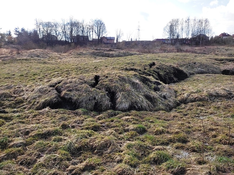 Koluwia aktywnego osuwiska nr 54333 w miejscowości Świątniki Górne (fot. B. Warmuz, 08.03.2023 r.)