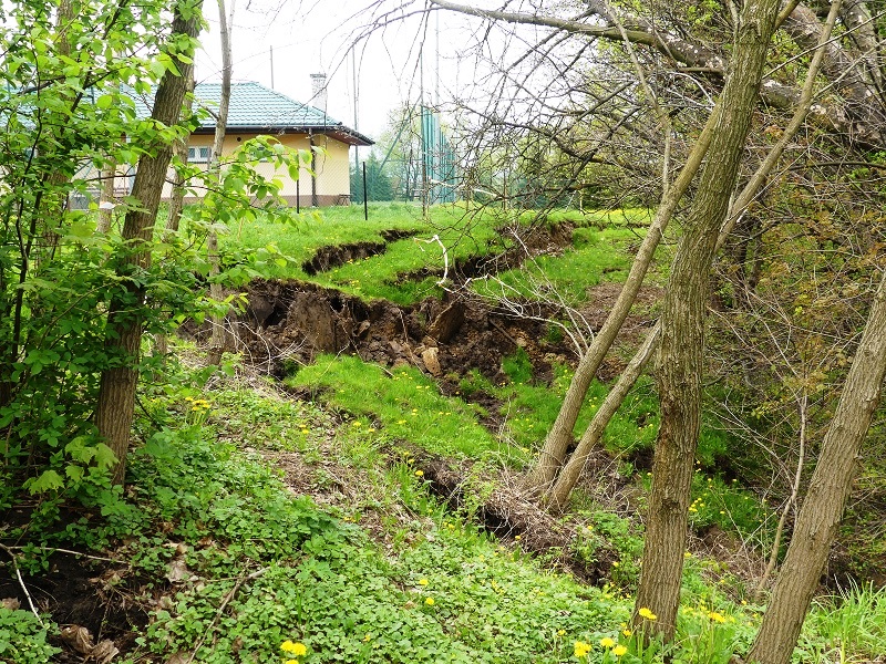 Skarpa główna aktywnego osuwiska nr 92303 w miejscowości Tuczempy, gmina Jarosław – w tle ogrodzenie boiska sportowego i budynek szkoły