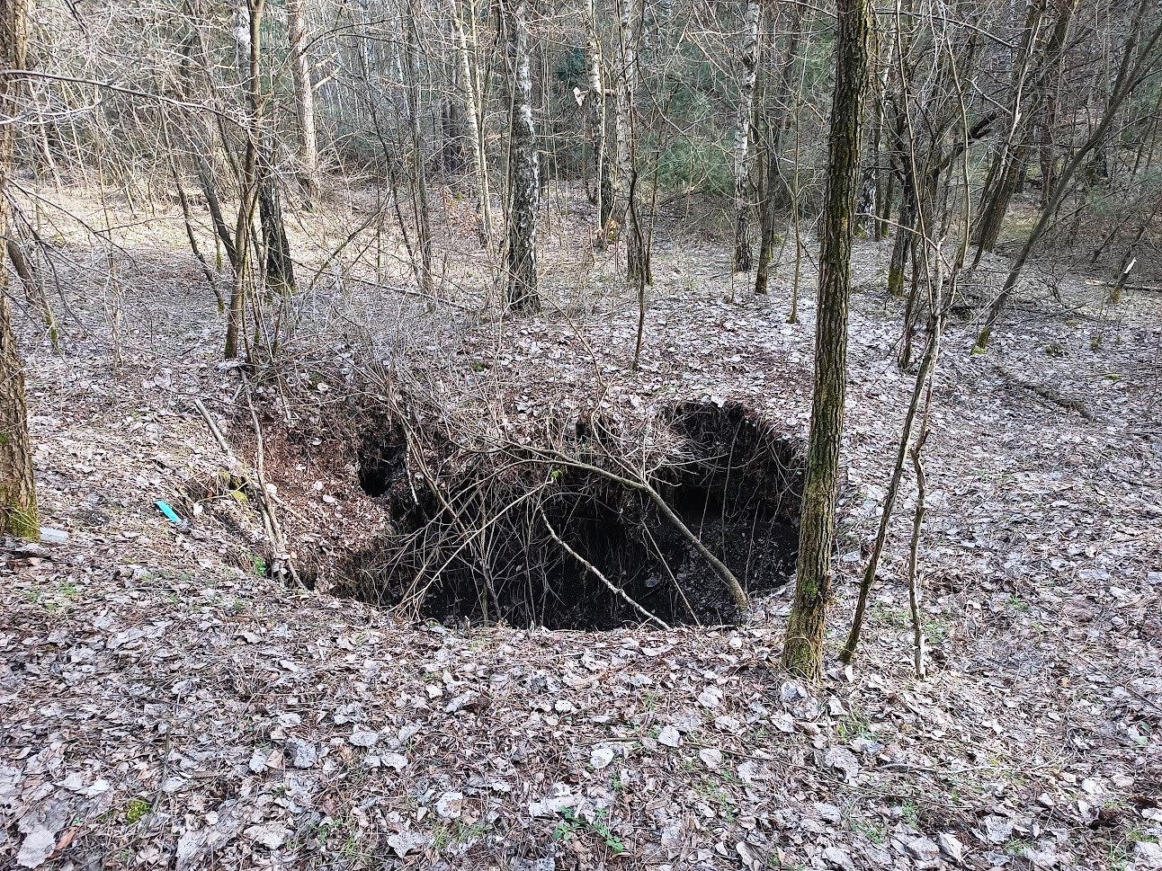 Zapadlisko w Trzebini – Sierszy (fot. M. Wódka, 17.03.2023 r.) 