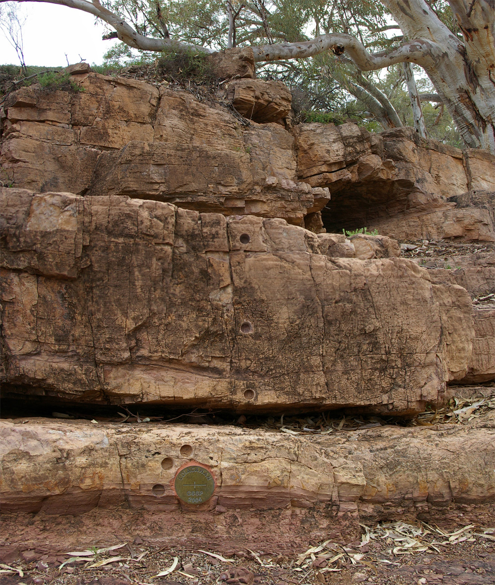 „Złoty gwóźdź” (brązowy dysk w dolnej części obrazu) (GSSP) dla spągu okresu ediakarańskiego (Ediacara , Australia Południowa)