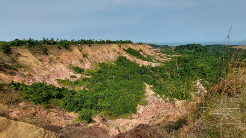 widok na wawoz