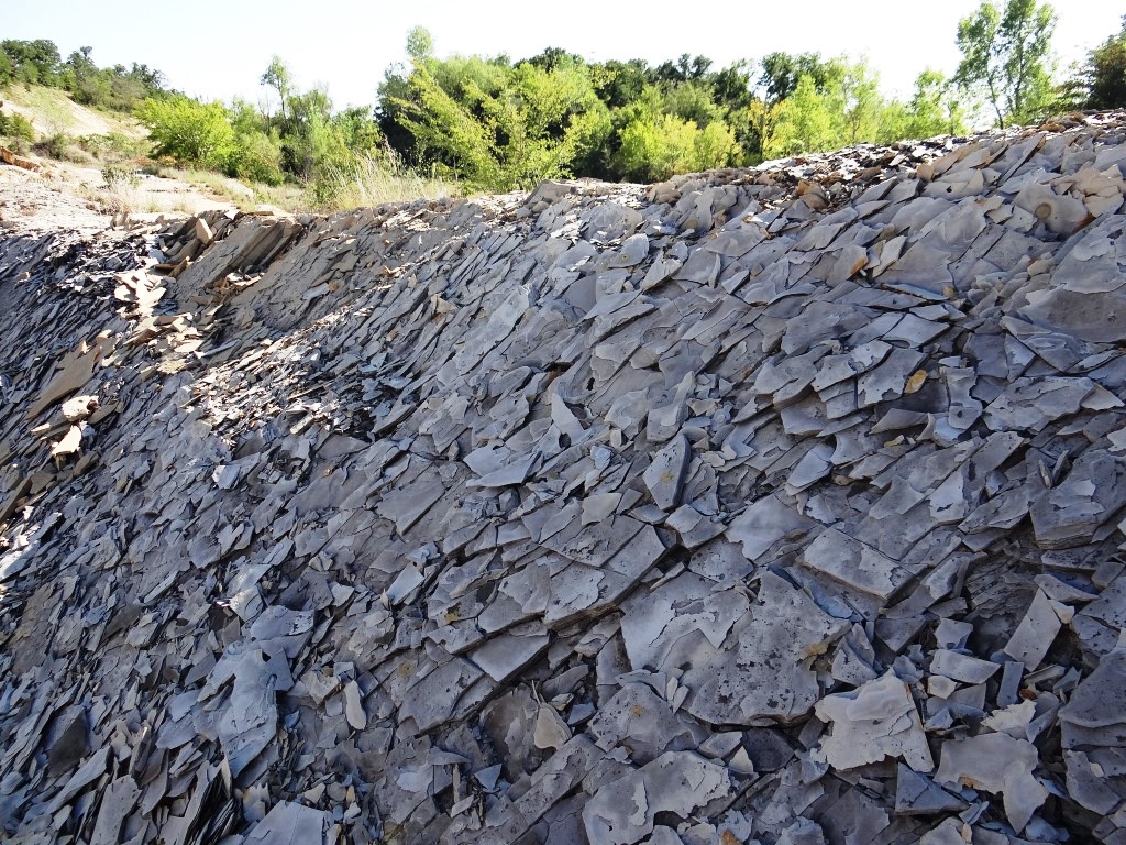 Wychodnie jednych z najważniejszych skał macierzystych stanu Oklahoma tzw. czertów i łupków Woodford. Lokalizacja kamieniołom McAlister. Zdjęcie przedstawia zwietrzałe skały o wyraźnej papierowej oddzielności, których spękania zostały wypełnione bituminą. Fot. P. Karcz