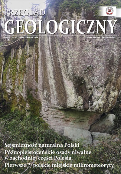 grafika ilustracyjna