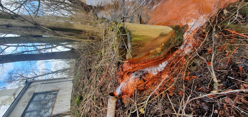 źródło wód mineralnych