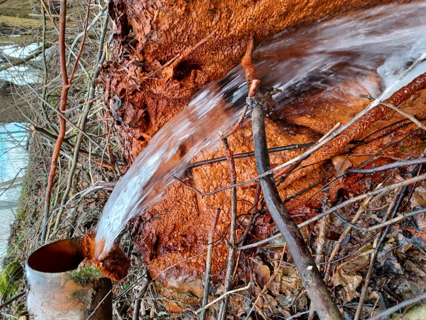 źródło wód mineralnych