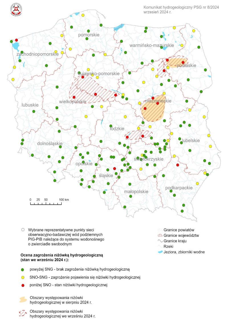 grafika ilustracyjna