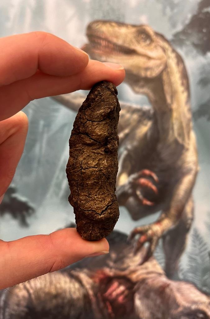 koprolit dinozaura