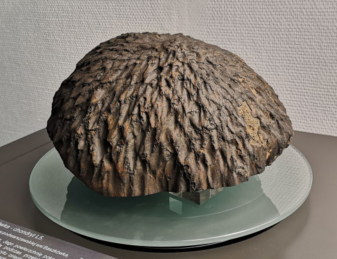 brązowy kamień z kosmosu na podstawce